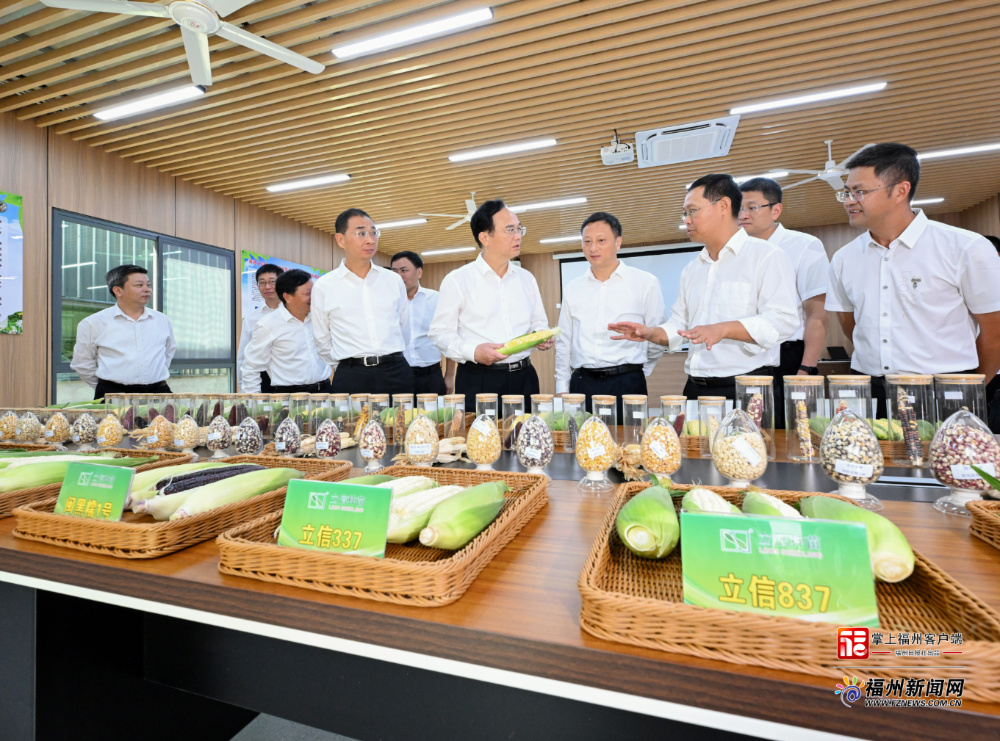 全市深入学习“千万工程”经验暨党建引领乡村振兴“五大工程”现场推进会举行