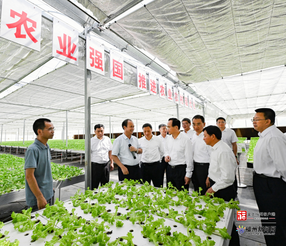 全市深入学习“千万工程”经验暨党建引领乡村振兴“五大工程”现场推进会举行