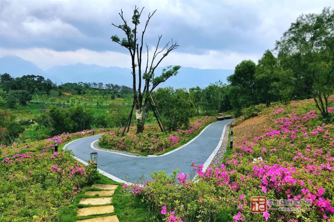 全球公开招标！福州要建国际一流植物园！