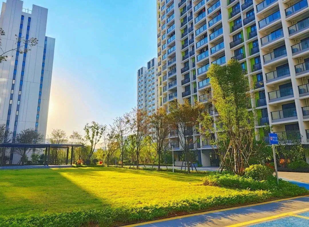 来福州新区，解锁3月浪漫！