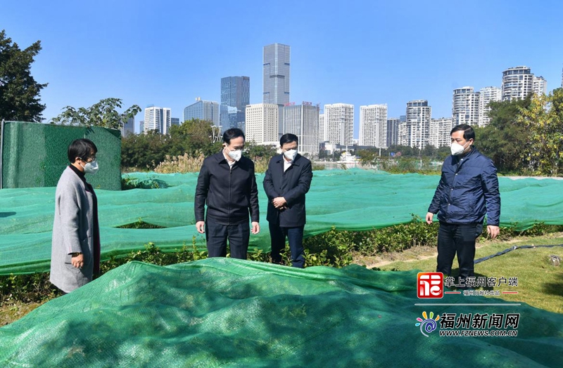 林宝金调研市树市花市果工作