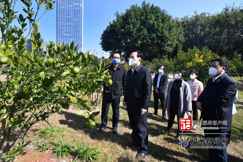 林宝金调研市树市花市果工作
