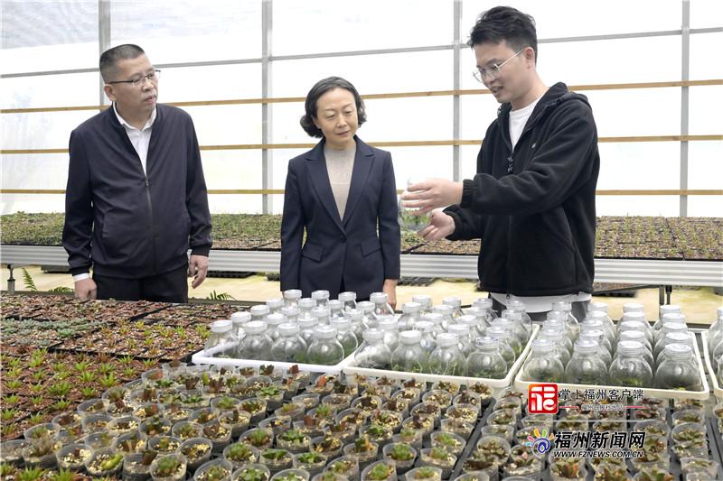 郭宁宁赴永泰县调研