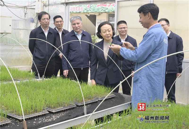 郭宁宁赴永泰县调研