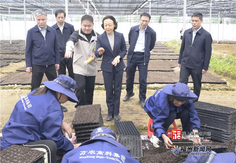 郭宁宁赴永泰县调研