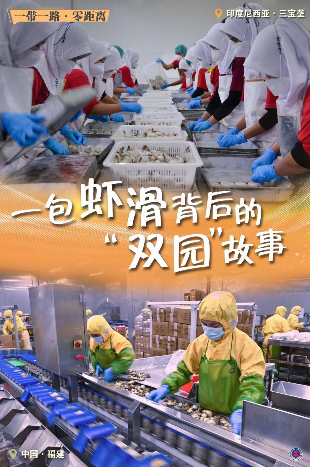 一带一路·零距离｜一包虾滑背后的“双园”故事
