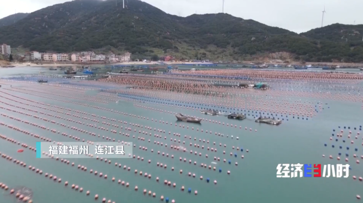 央视《经济半小时》聚焦“万亿之城”——福州