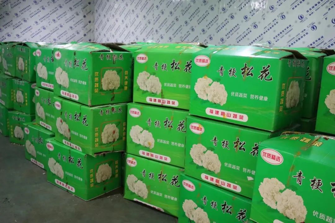争优！争先！争效！来长乐这里享受向往的生活！