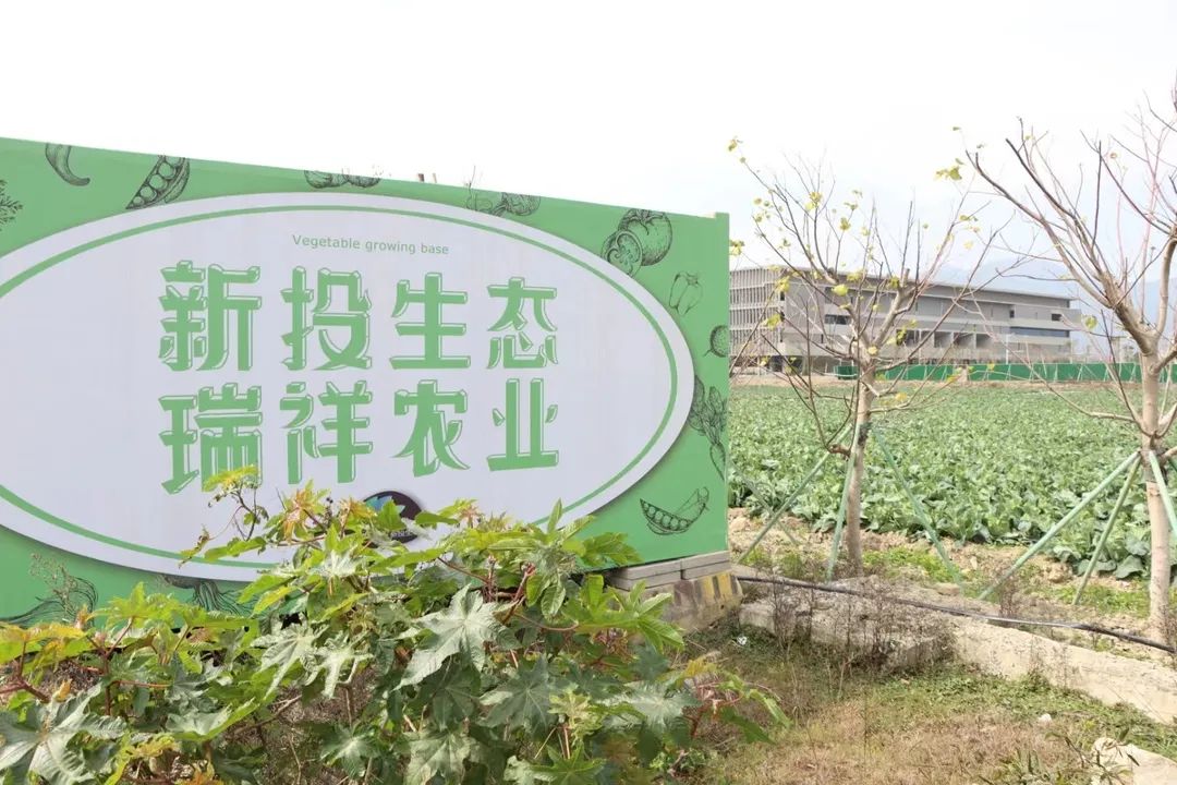 争优！争先！争效！来长乐这里享受向往的生活！