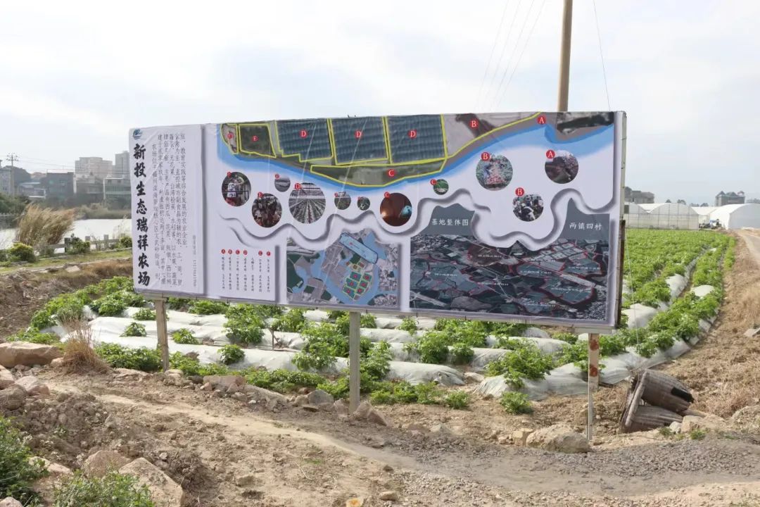 争优！争先！争效！来长乐这里享受向往的生活！