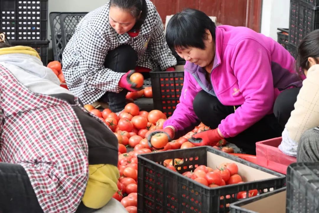 争优！争先！争效！来长乐这里享受向往的生活！