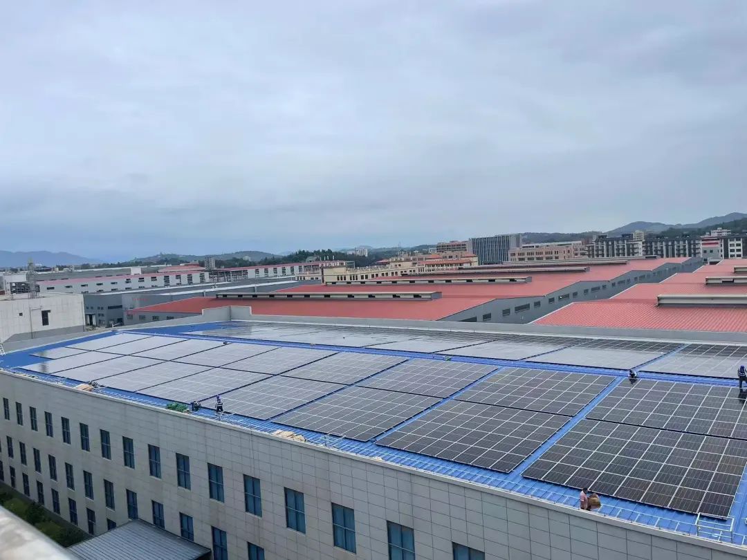 大平台“撬动”产业链，长乐这家企业做到了