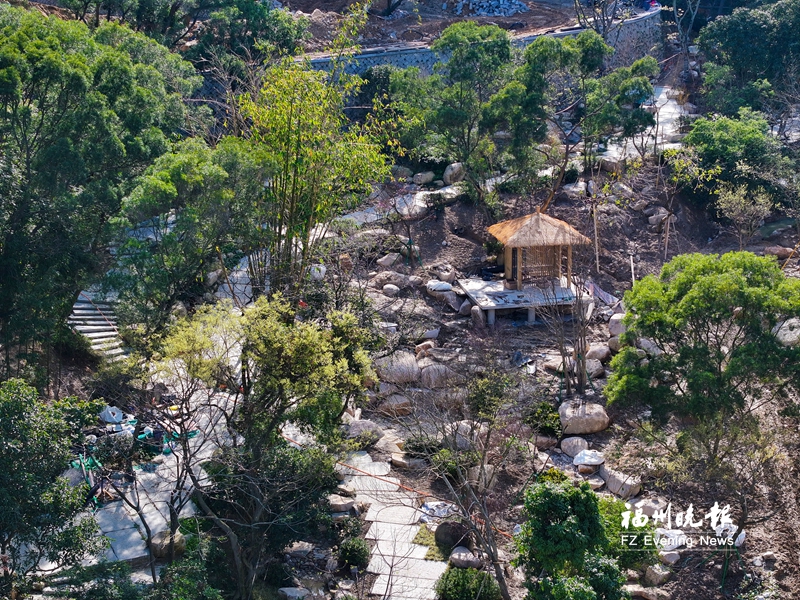 福州三江口植物园一期年底建成 兰花谷将展示上千种兰花