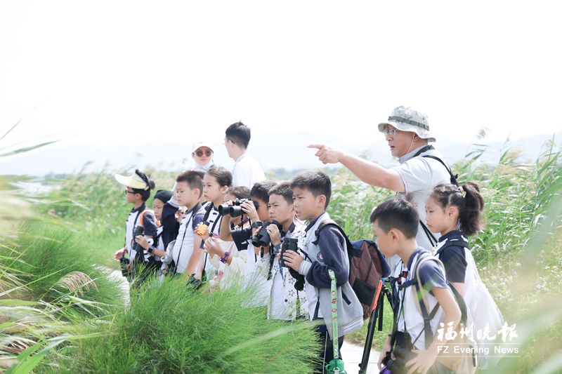 闽江河口湿地候鸟迁徙保护行动开展