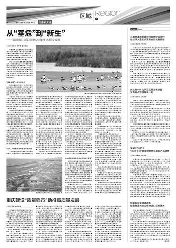 从“垂危”到“新生”——福建闽江河口湿地20年生态蜕变观察
