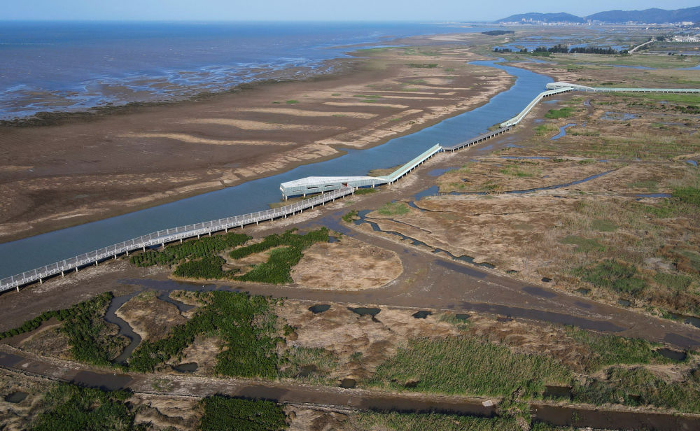 从“垂危”到“新生”——福建闽江河口湿地20年生态蜕变观察