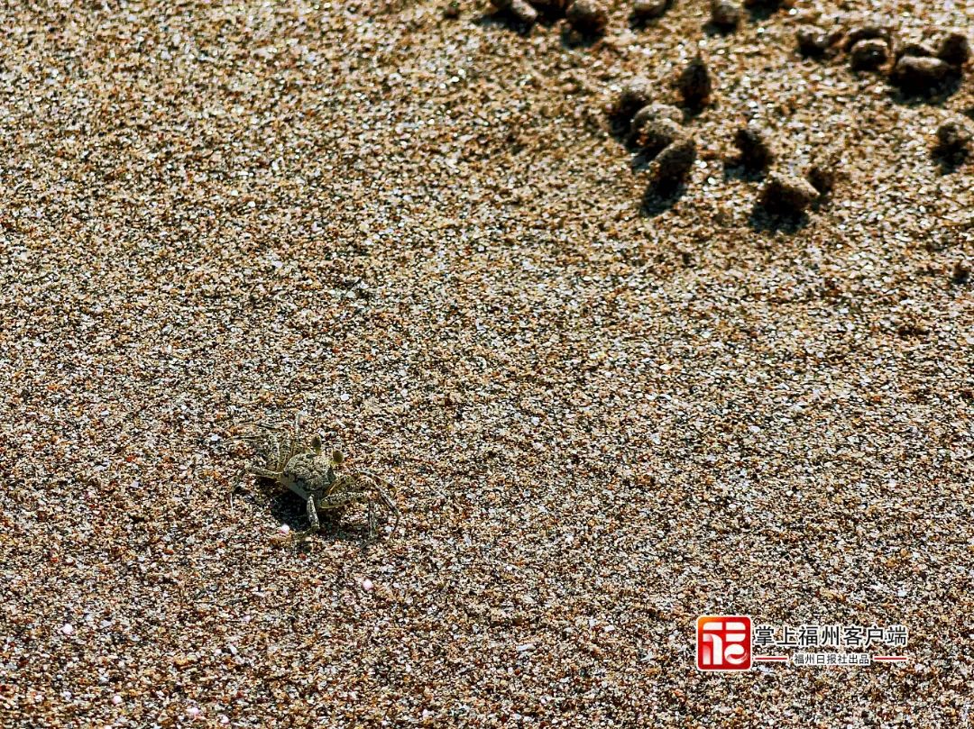 去福州新区看海呀！以夏天的名义……