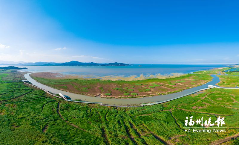 闽江河口湿地征集科研课题