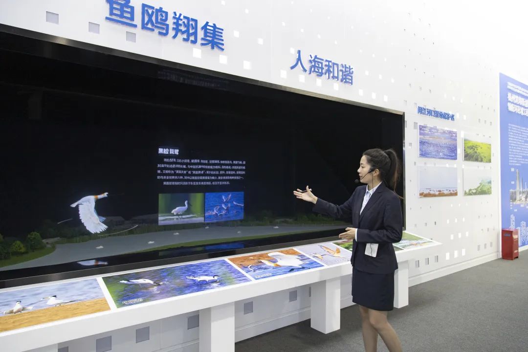 快来“打卡”！“福州新区故事”又上新啦！