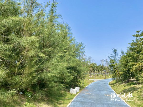 滨海新城打造环海景观带