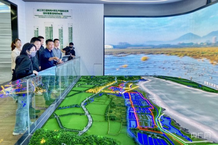福建闽江河口湿地：人与鸟类“长住客”共享绿色
