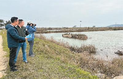 人民日报海外版整版关注闽江河口“申遗”