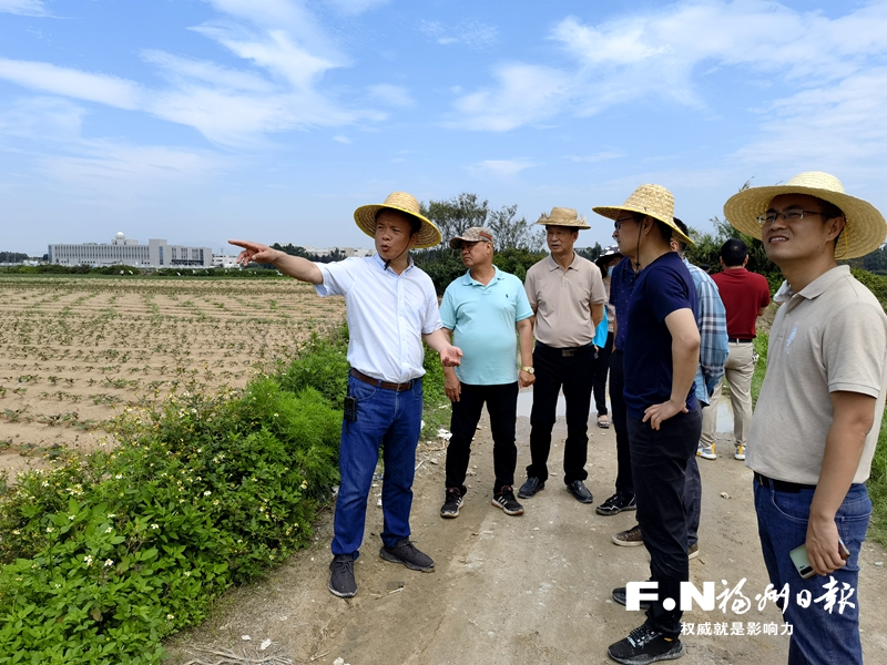 长乐漳港街道：红色引领凝心聚力 新区发展乘势而为