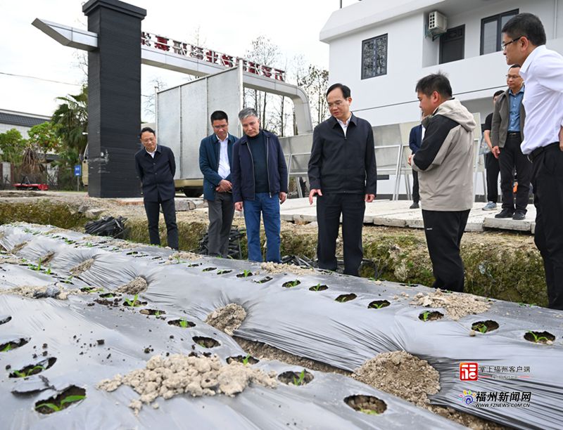 林宝金赴马尾区、长乐区调研春耕备耕工作