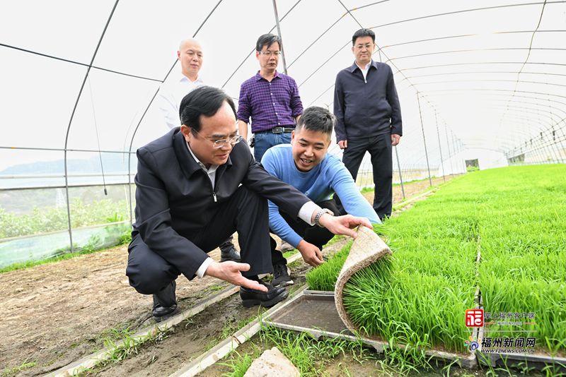 林宝金赴马尾区、长乐区调研春耕备耕工作