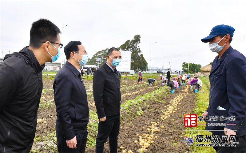 全市春季农业生产现场会召开 林宝金讲话 吴贤德作部署