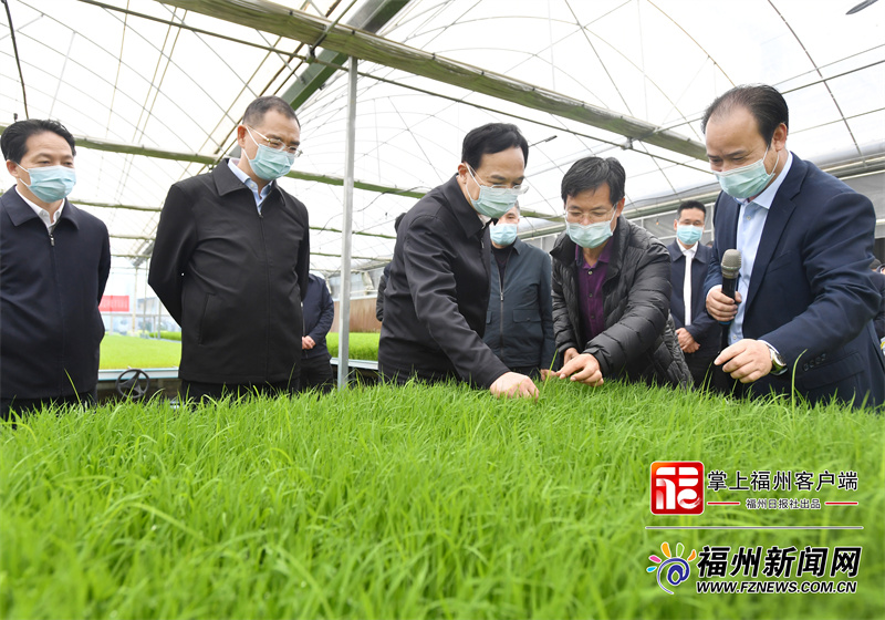 全市春季农业生产现场会召开 林宝金讲话 吴贤德作部署