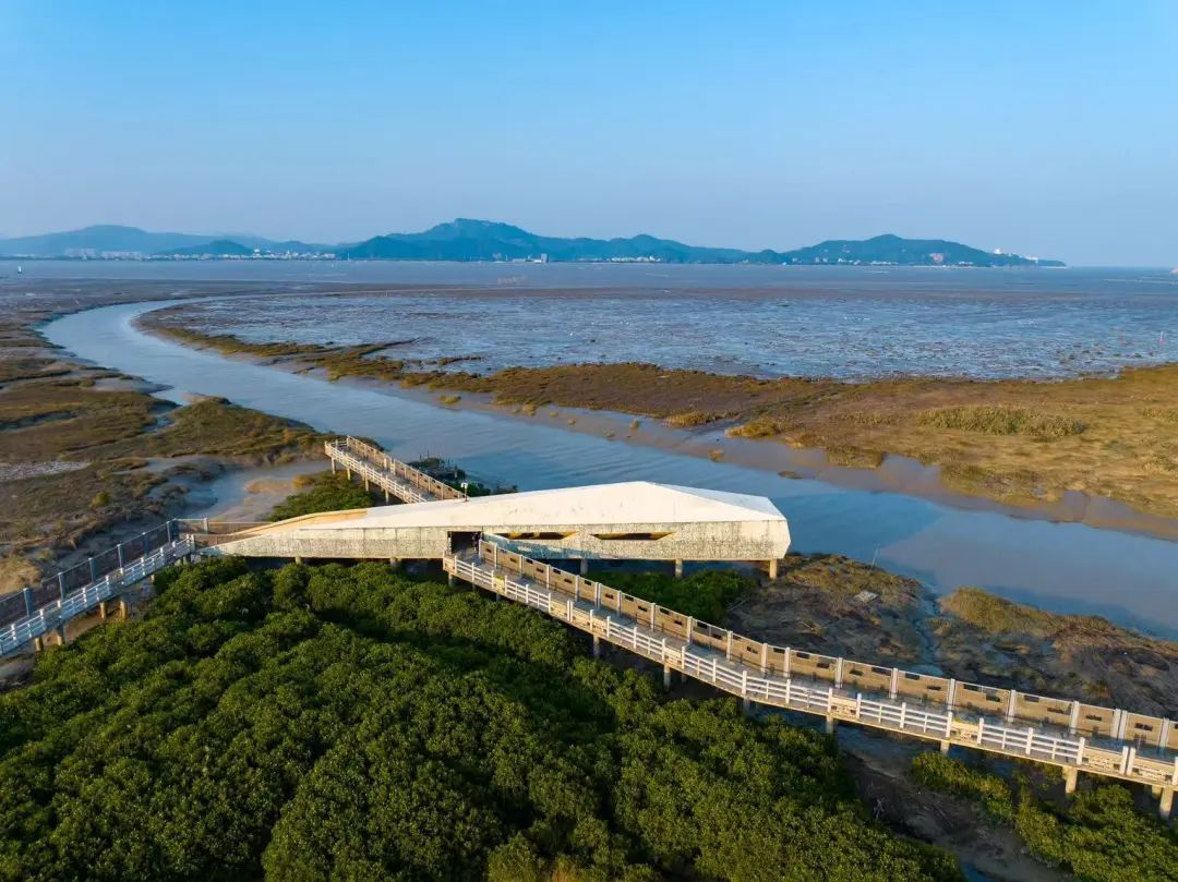 焕新升级！快来闽江河口湿地公园“打卡”
