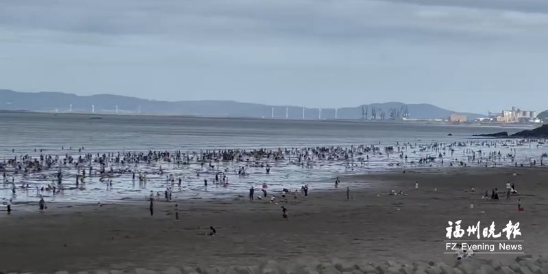 下沙海滩万人赶海 何时何地宜赶海看看这份攻略