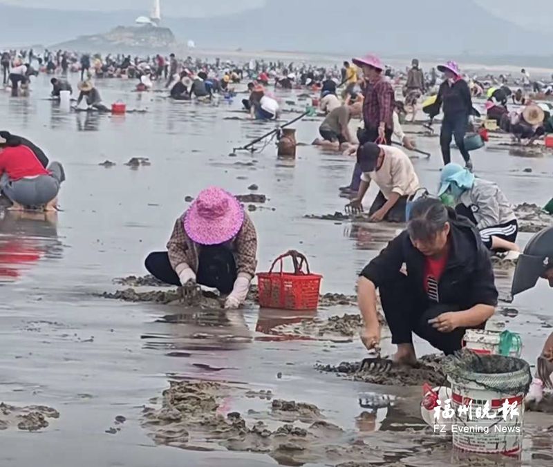 下沙海滩万人赶海 何时何地宜赶海看看这份攻略