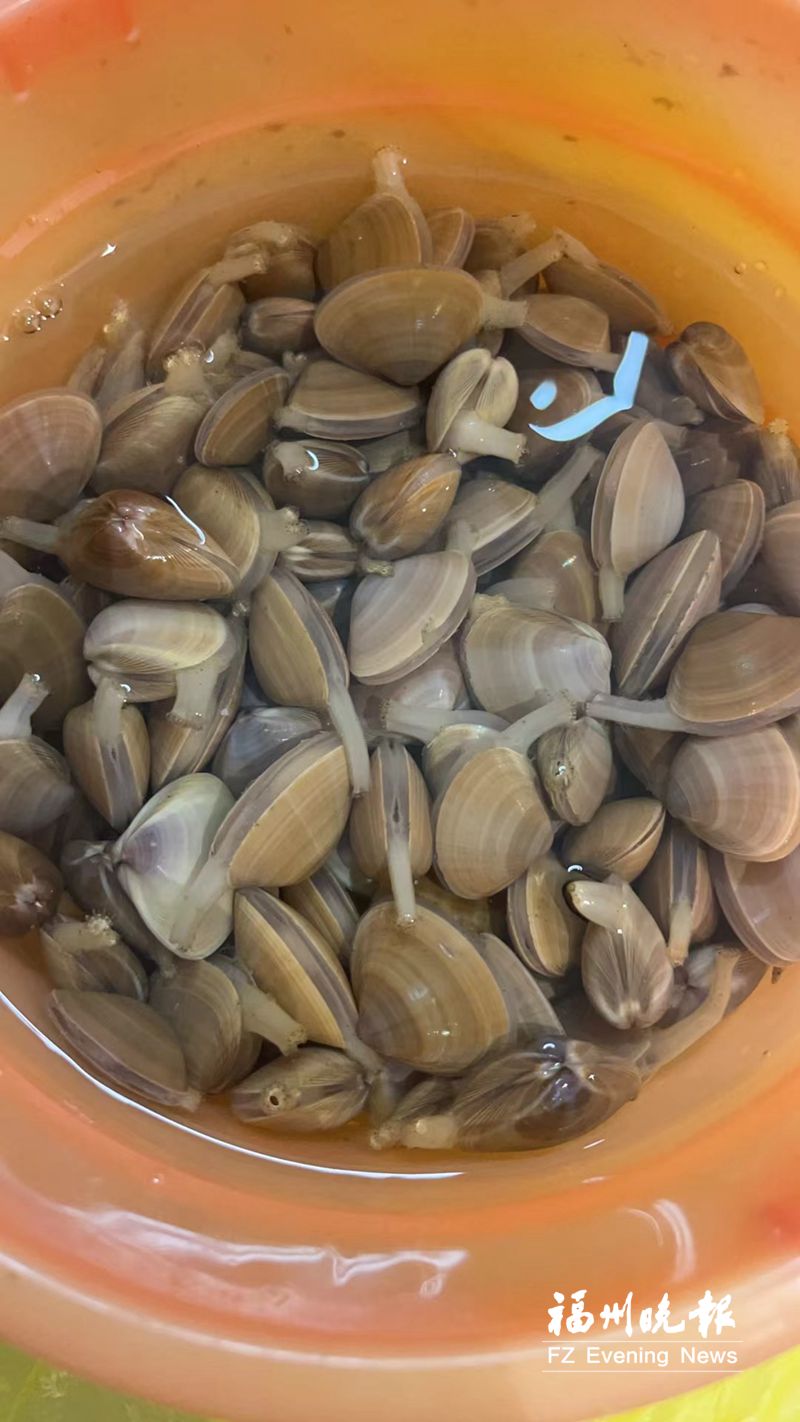 下沙海滩万人赶海 何时何地宜赶海看看这份攻略