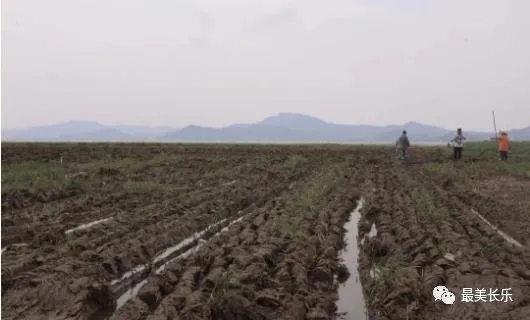 向全球推介！闽江河口湿地亮相世界遗产青年论坛