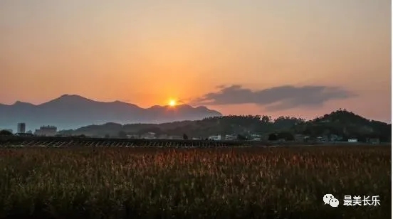 向全球推介！闽江河口湿地亮相世界遗产青年论坛