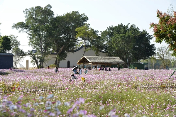 梁厝：古韵悠悠 文风鼎盛