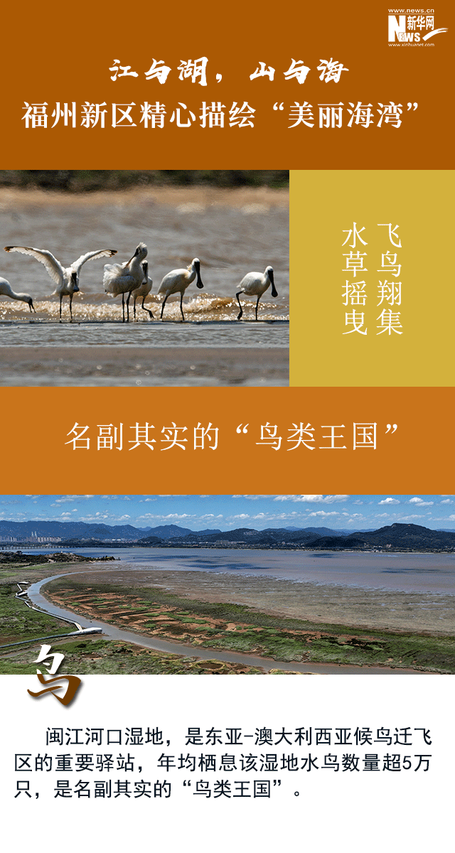 江与湖，山与海 福州新区精心描绘“美丽海湾”