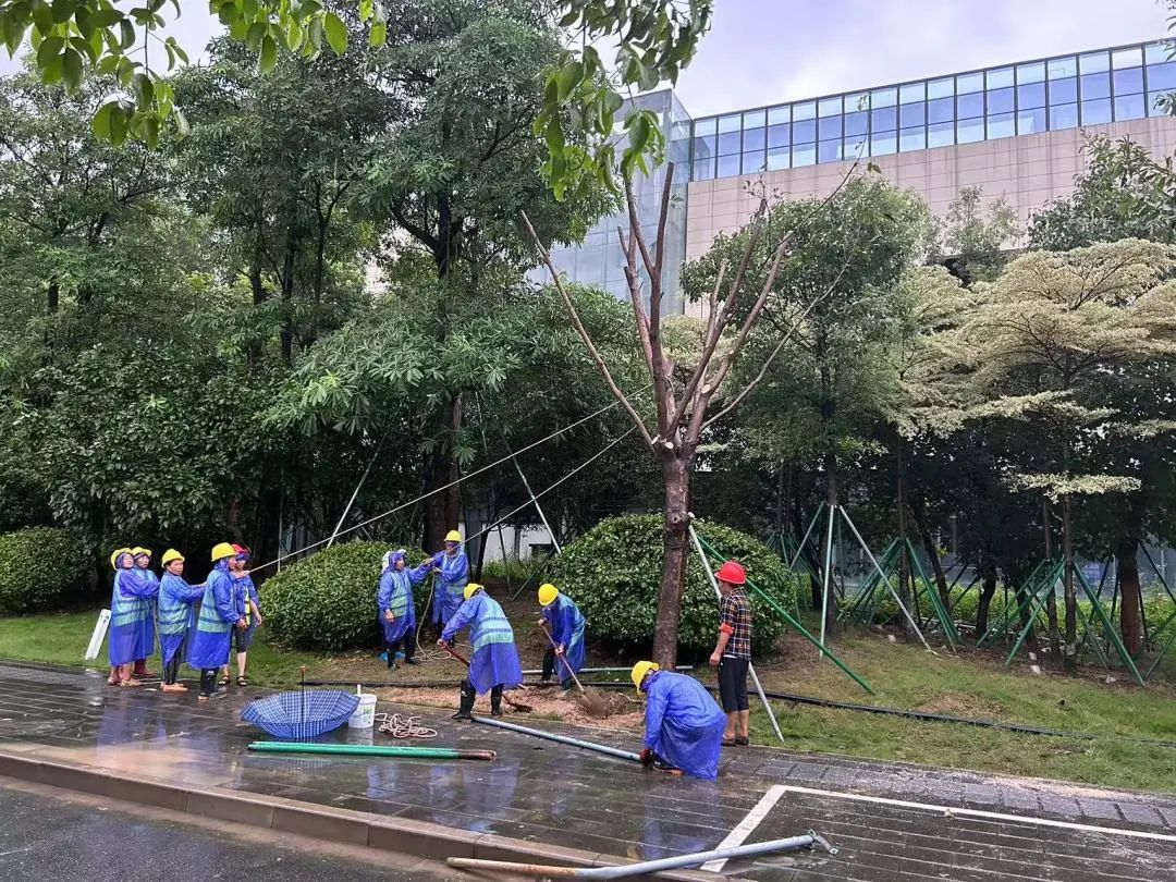 暴雨侵袭，福州新区在行动！