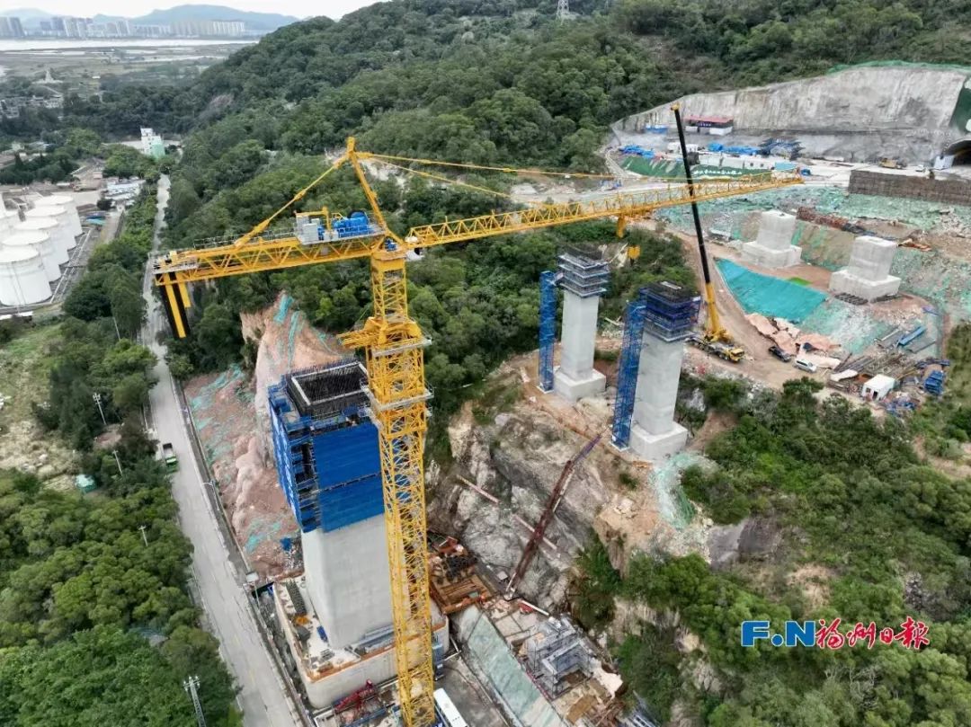不断升级！福州新区助推闽东北“四市一区”高质量发展