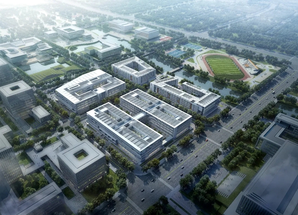 滨海新城建设多层次高质量教育体系