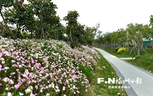 滨海新城“黄金海岸线”景观升级