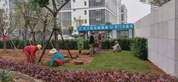 好消息！东南大数据产业园研发楼四期即将完工