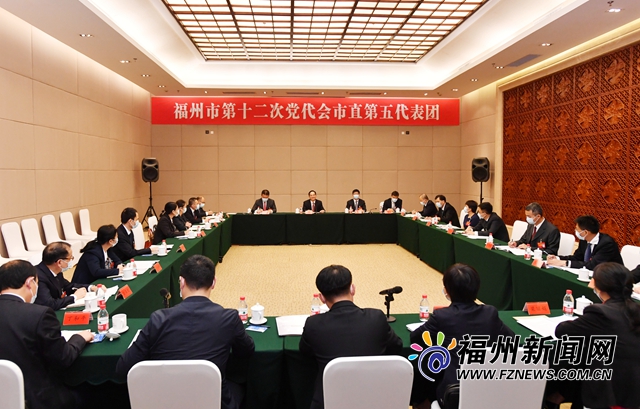 林宝金参加市第十二次党代会市直五团审议