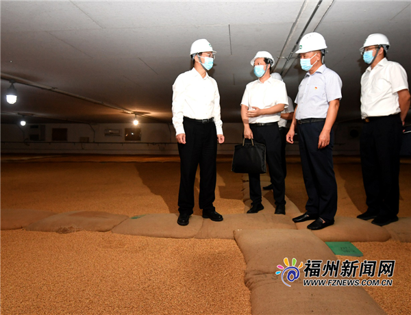 林宝金调研检查粮食安全工作