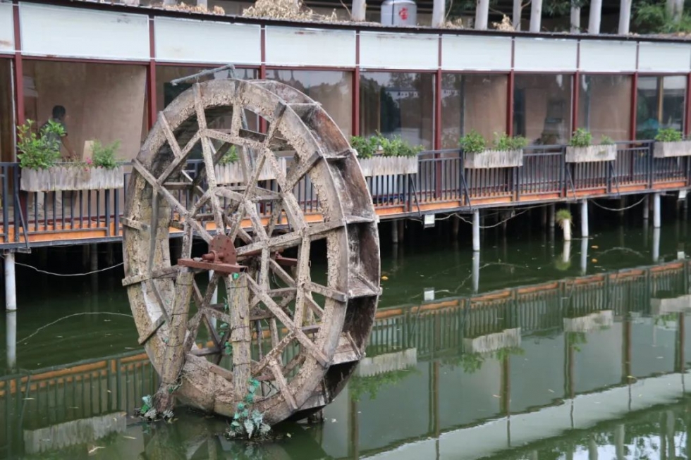 华丽变身！滨海新城这处闲置校舍成为“宝地”