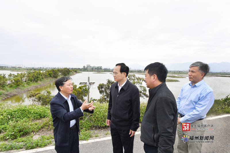 林宝金：坚持国际视野 发挥特色优势 全力推进闽江河口湿地申遗