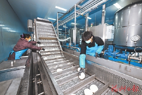 新潮澎湃 向质而行——写在福州自贸片区挂牌九周年之际